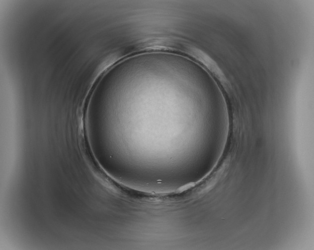 X0000112931234200908311311