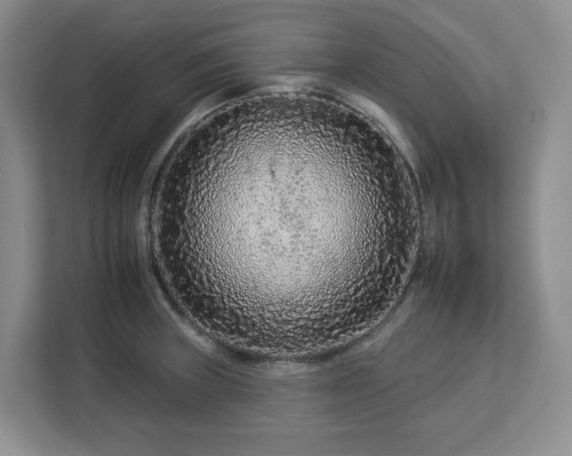 X0000112931235200908311311