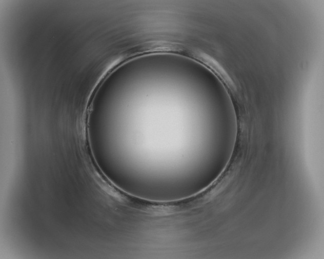 X0000112931236200908311311