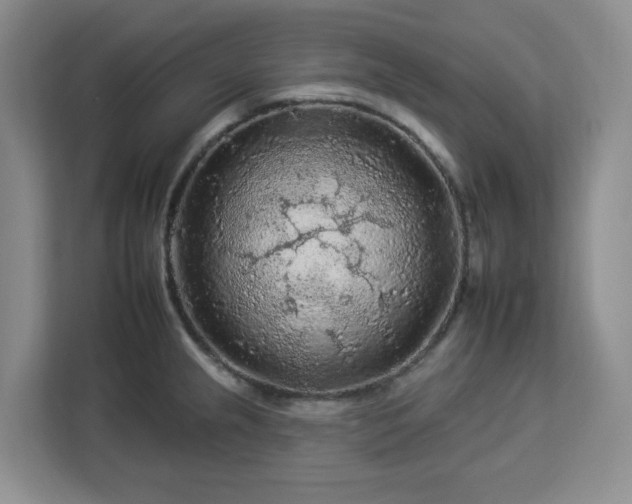 X0000112931237200908311311