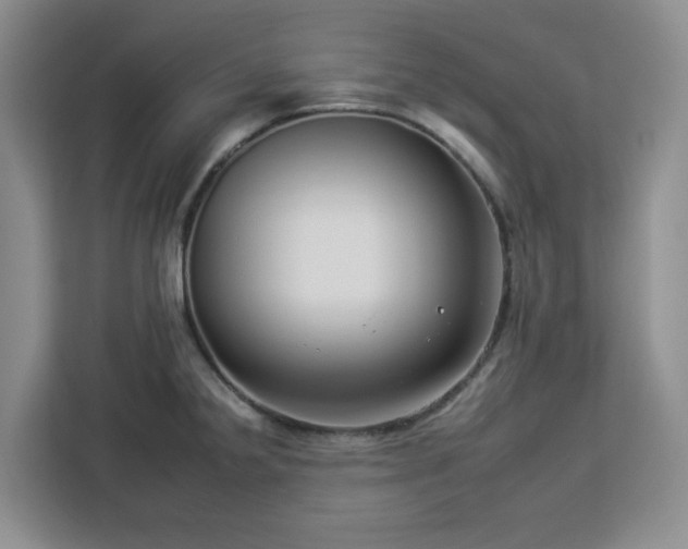 X0000112931238200908311311