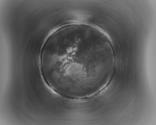 X0000112931239200908311311