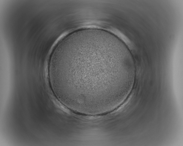 X0000112931240200908311311