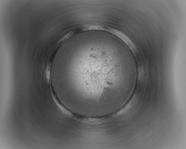 X0000112931241200908311311