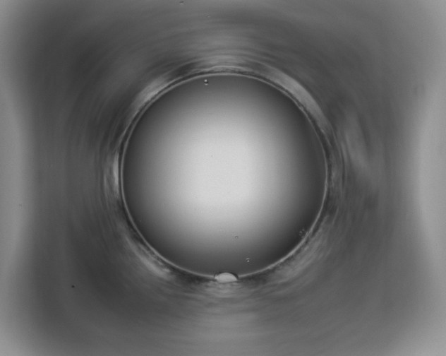 X0000112931242200908311311