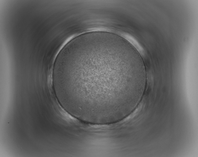 X0000112931244200908311311