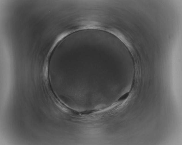 X0000112931246200908311311