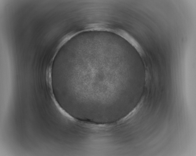 X0000112931247200908311311