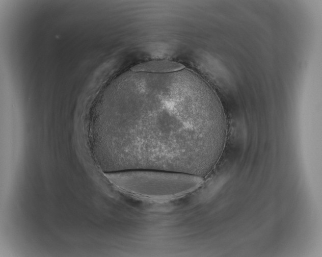 X0000112931249200908311310