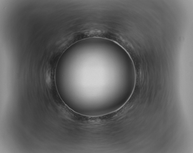 X0000112931250200908311310