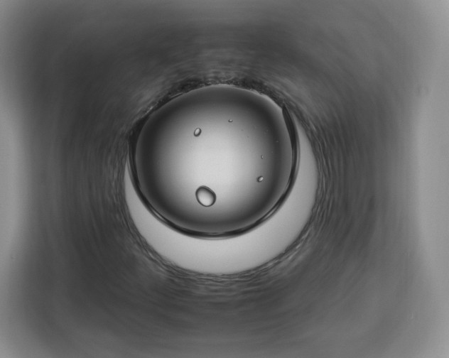 X0000112931252200908311310