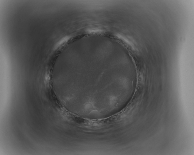 X0000112931254200908311310