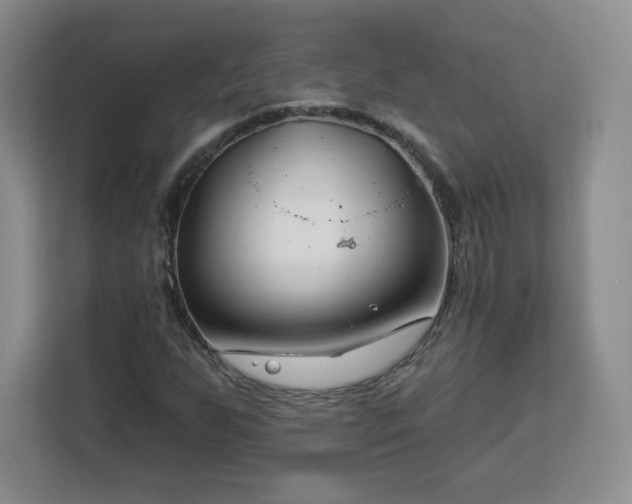 X0000112931255200908311310