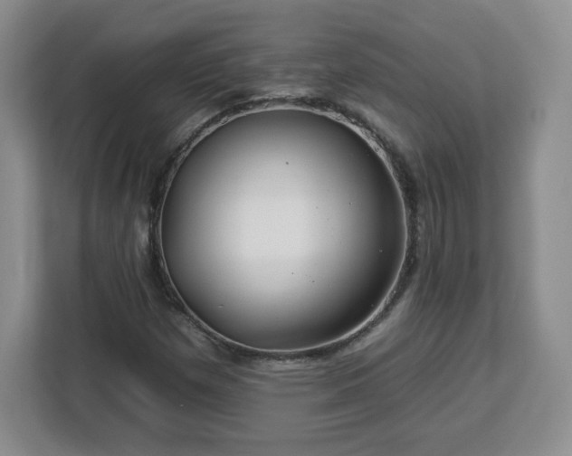 X0000112931257200908311310