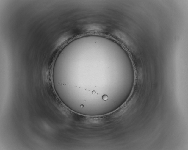 X0000112931258200908311310