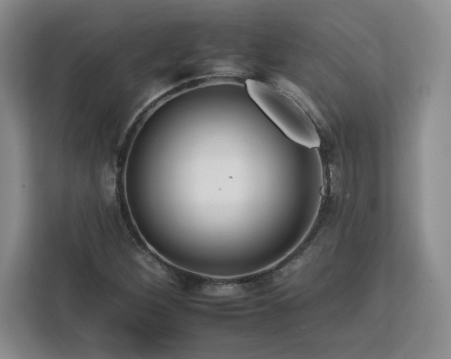 X0000112931260200908311310