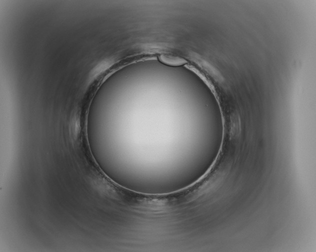 X0000112931261200908311310