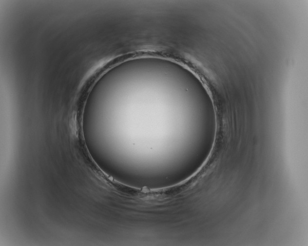 X0000112931262200908311310