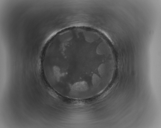 X0000112931263200908311310