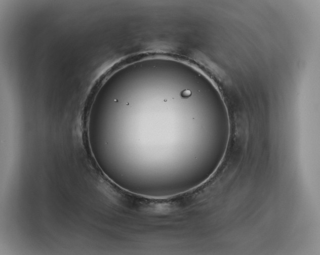 X0000112931264200908311310