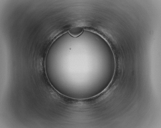 X0000112931265200908311310