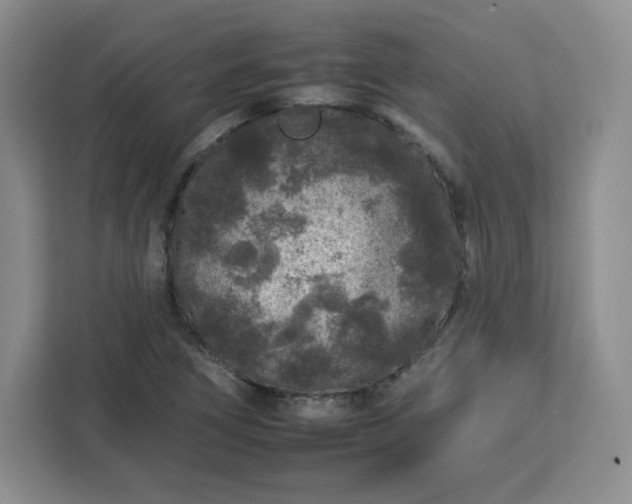 X0000112931266200908311310