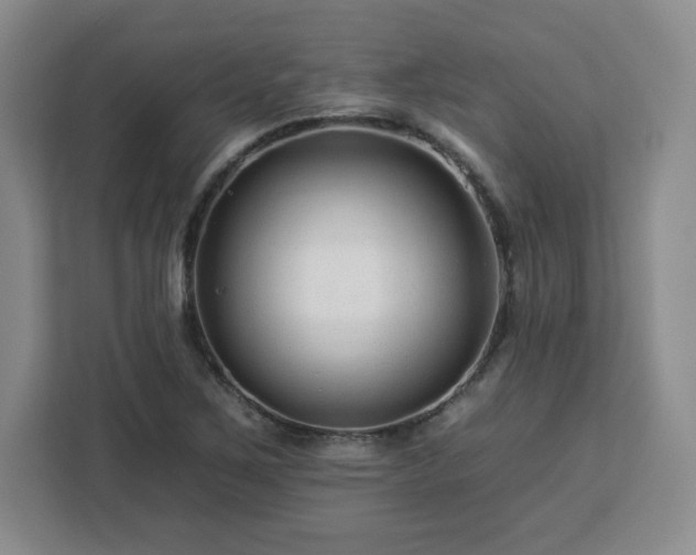 X0000112931267200908311310