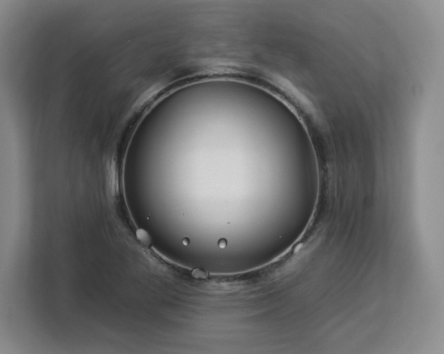 X0000112931269200908311310