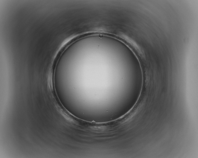 X0000112931272200908311310