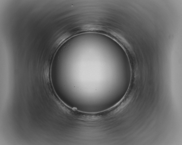 X0000112931273200908311310