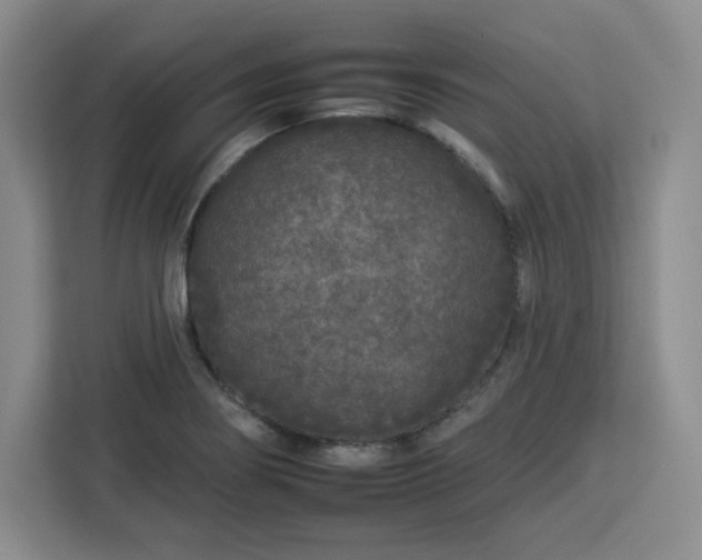 X0000112931274200908311310