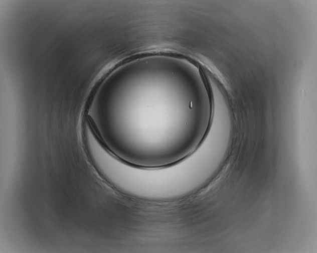 X0000112931277200908311310