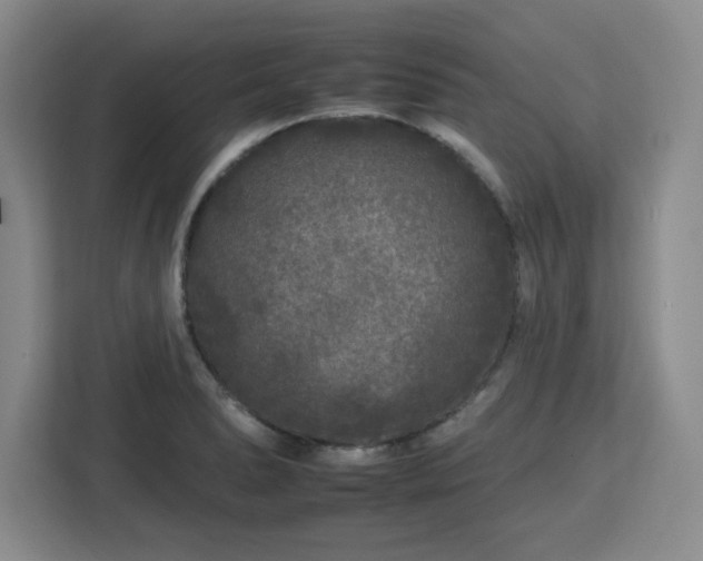 X0000112931278200908311310