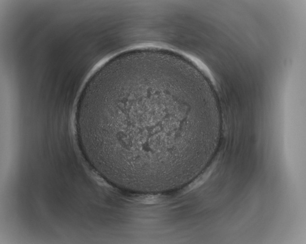 X0000112931279200908311310