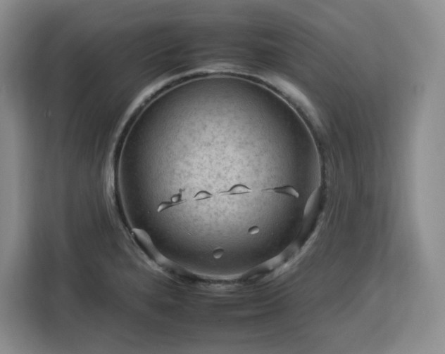 X0000112931280200908311310