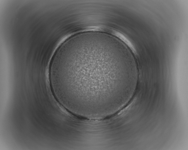 X0000112931283200908311310