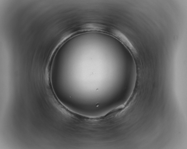 X0000112931284200908311310