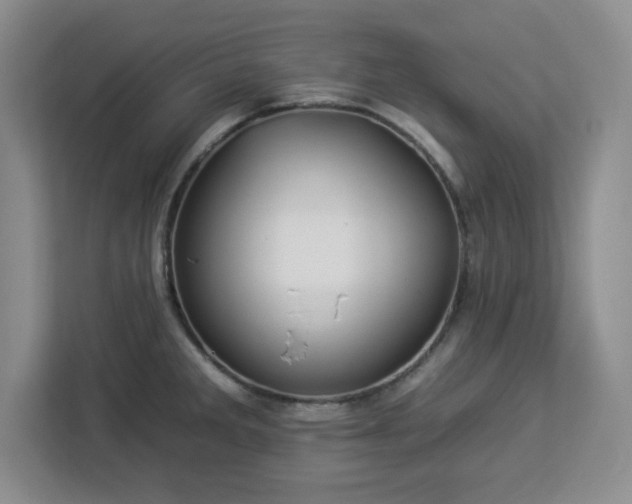 X0000112931285200908311310