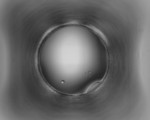 X0000112931288200908311310