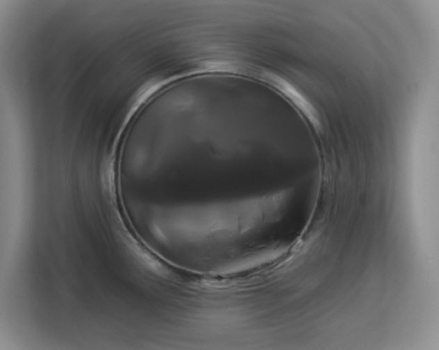 X0000112931291200908311310