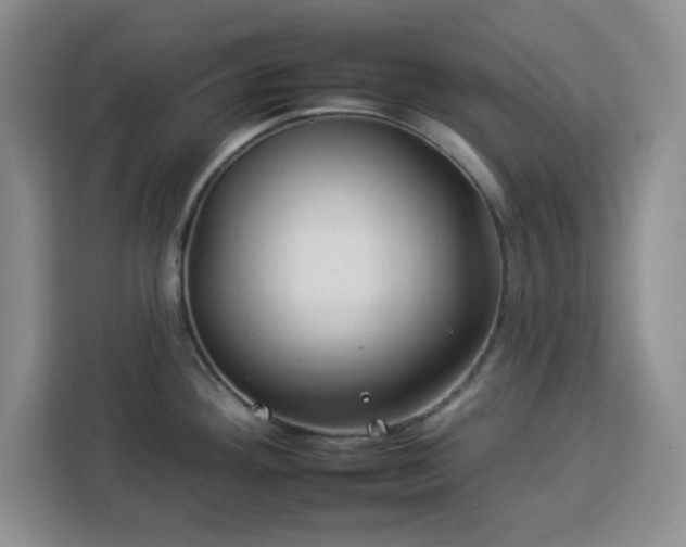 X0000112931292200908311310