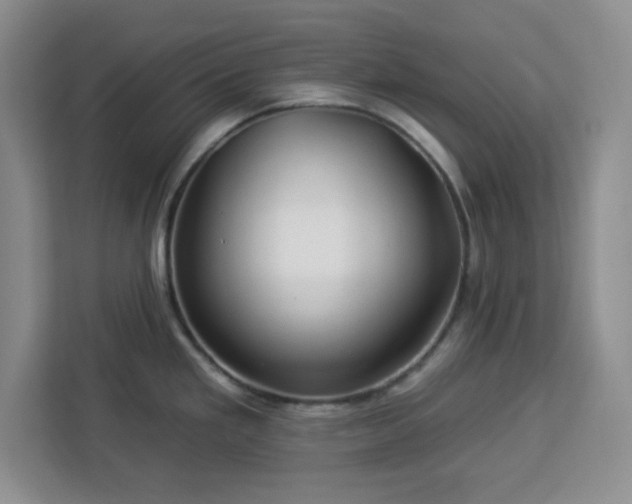 X0000112931293200908311310