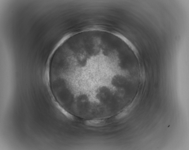 X0000112931294200908311310