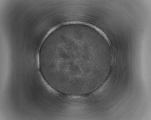 X0000112931295200908311310