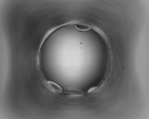 X0000112931296200908311310