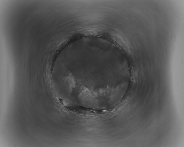 X0000112931297200908311309