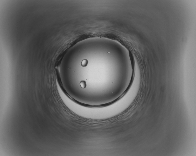 X0000112931300200908311309