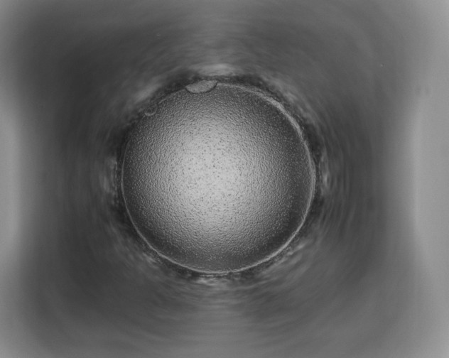 X0000112931301200908311309