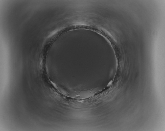 X0000112931303200908311309