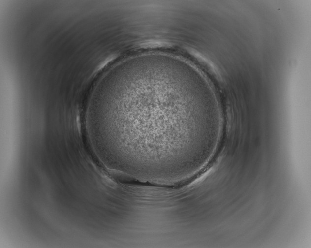 X0000112931305200908311309